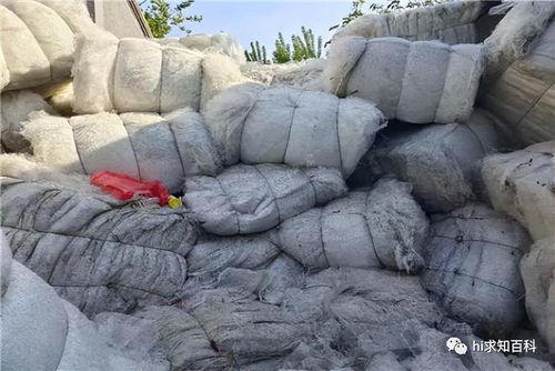 石棉 性能优异却被禁用的“石头纤维”，以及与岩棉的关键区别