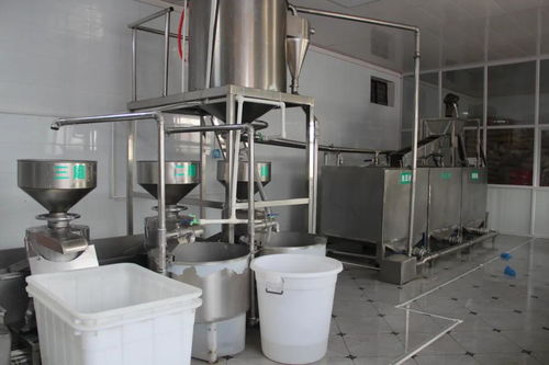 新密浮戏山豆腐 豆花香食品厂如何成为石棉带上的行业新星